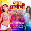 About Jarata Jawani (Bhojpuri Romantic Song) Song