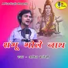 About Shambhu Bhole Nath Pahadi Song