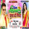 About Jila Hardoi Hamko Ghuma Do Piya Song