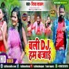 About Chali DJ Hum Bajai Song