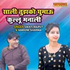 About Saali Tujhko Ghumau Kullu Manali Song