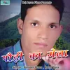 About Pauri Ka Mela Pahadi Song