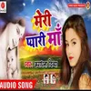 About Meri Pyari Maa Song