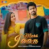 About Meri Jaan Song