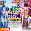 About Chhodi Ke Videshwa Song