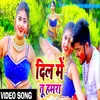 About Dil Me Tu Hamara Song