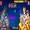 About Shyam Teri Deewani Hindi Song