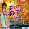 About Darshan Karadi Sherawali Ke Ho Song