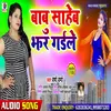 About Babu Saheb Jhar Gaile Song