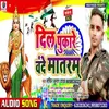 About Dil Pukare Vande Mataram Song