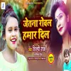 About Jetana Rowal Hamar Dil Song