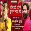About Chhotaki Karele Pukar Bhai Ho Song
