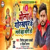 About Mela Gorakhpur Ke Lage Bada Bhari Ho Song