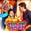 About Pandal Abhi Full Bave Song