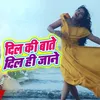 About Dil Ki Baate Dil Hi Jane Song