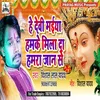 About He Devi Maiya Hamke Mila Da Hamara Jaan Se Song