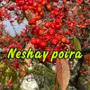 About Neshay Poira Song