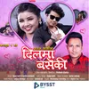 About Dil Ma Baseki Song