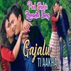 About Gajalu Ti Aakha Song