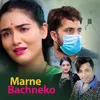 About Marne Bachneko Song