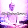 About Brain Stimulating Harmony Song