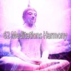 About Meditation Relief Song