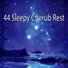 Ambience For A Soothing Sleep