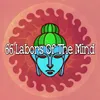 About Mind Illusion Song