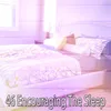 About Find Sleep Through Tranquility Song