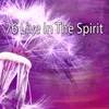 My Spirit Soars