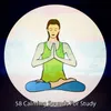 About Meditation Relief Song