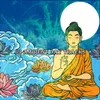 About Meditation In Paradise Song