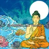 About Meditation Day Song