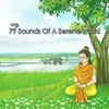 About Buddhist Monastery Song