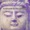 About Buddhas Blessings Song