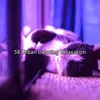 Natural Sleeping Ambience