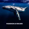 Ballenas Cantando En El Oscuro Oceano