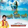 About Shree Radhe Radhe (Hindi) Song