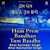 Hum Prem Bandhan Tum Baadhe