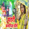 About Patari Kamariya Dole (Bhojpuri) Song