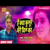 About Hai Kya Kusur Mere Dil Ka (Bhojpuri Song) Song