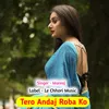 About Tero Andaj Roba Ko (Original) Song