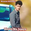 Bhulo Na Jawey (Mewati)