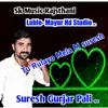 About Tu Rolv Mela Devju Yatra Song Song