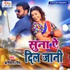 About Suna Ae Dil Jaani (Bhojpuri Song) Song