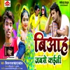 About Bibaha Jabse Kaili Song