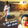 About Tu Mere Sapno Ka Raja (Hindi) Song
