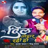 About Dil Tohar Rahi Ho (Bhojpuri) Song