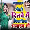About Tohare Dilawe Me Piknik Manaib Ho (Bhojpuri) Song