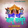 About Chali Gai Jaanu Sasure (Hindi) Song
